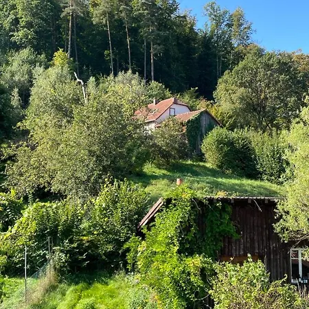 Mon Refuge En Vasgovie Meisenthal