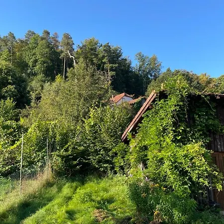 Mon Refuge En Vasgovie Apartman Meisenthal