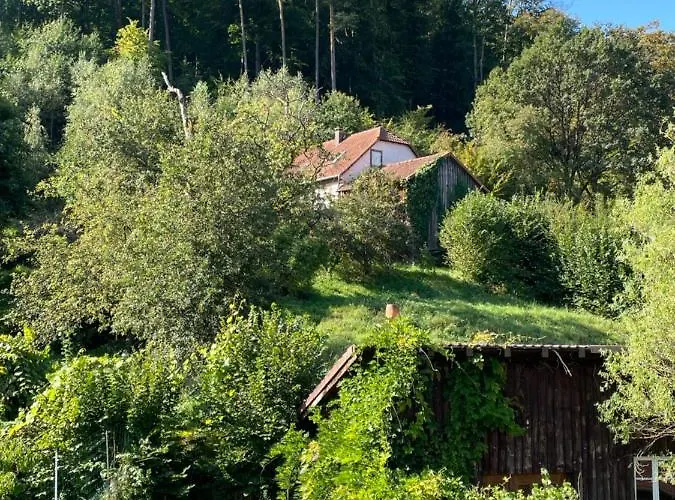 Mon Refuge En Vasgovie Meisenthal